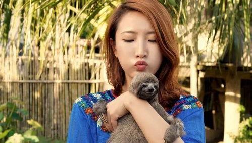 爱旅游的明星,跟随爱旅游的明星探索世界之美