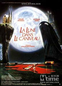 明月照沟渠图片,光影交织的宁静画卷