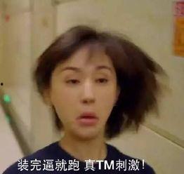 刘涛现代表情包